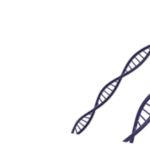 genetically modified mice dan