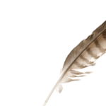 Native American eagle feather