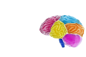 Discrete Choice Experiments with Neurologic Disorders