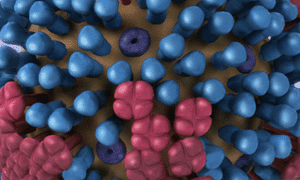 flu virus rendering