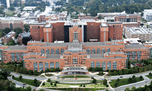 birds eye view of university