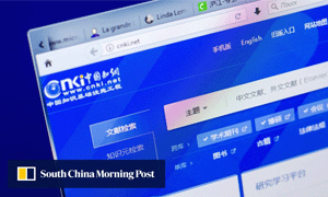 photo of chinese website