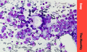 image from microscope