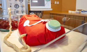 mit artificial wombs