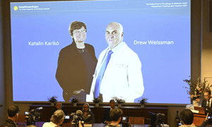 pic of award ceremony