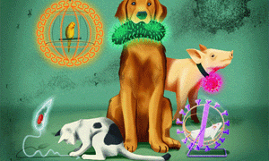 abstract art of pets