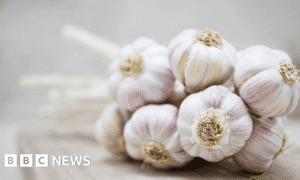 Garlic Cloves