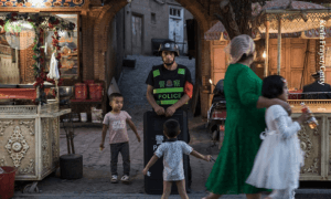 Chinese minorities