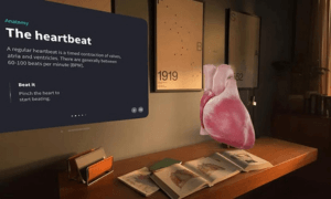heartbeat definition