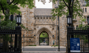 yale ny times